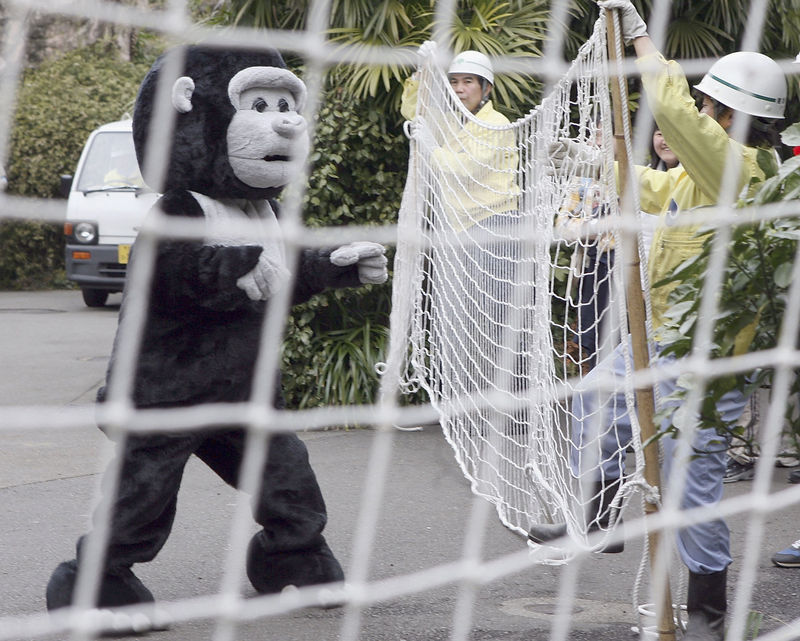 Illustration for article titled The Amazing World Of Zoo Drills, With Humans Dressed As Escaped Animals